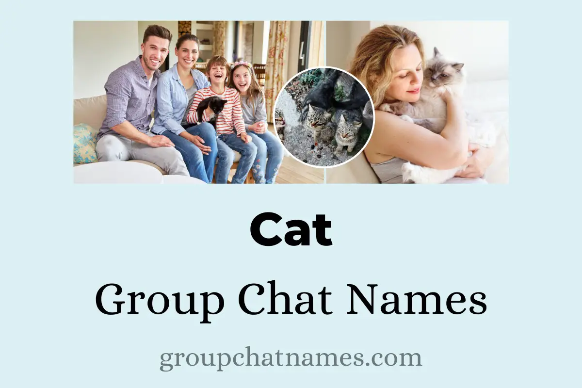 Cat Group Chat Names