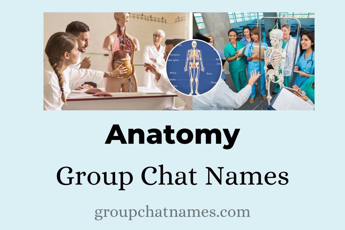 Anatomy Group Chat Names